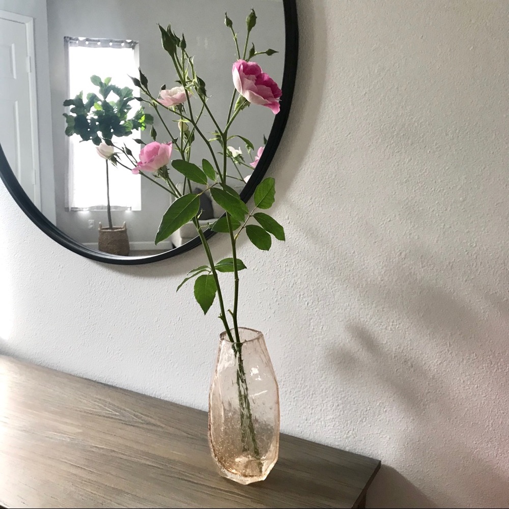 Tall Bubble Glass Vase